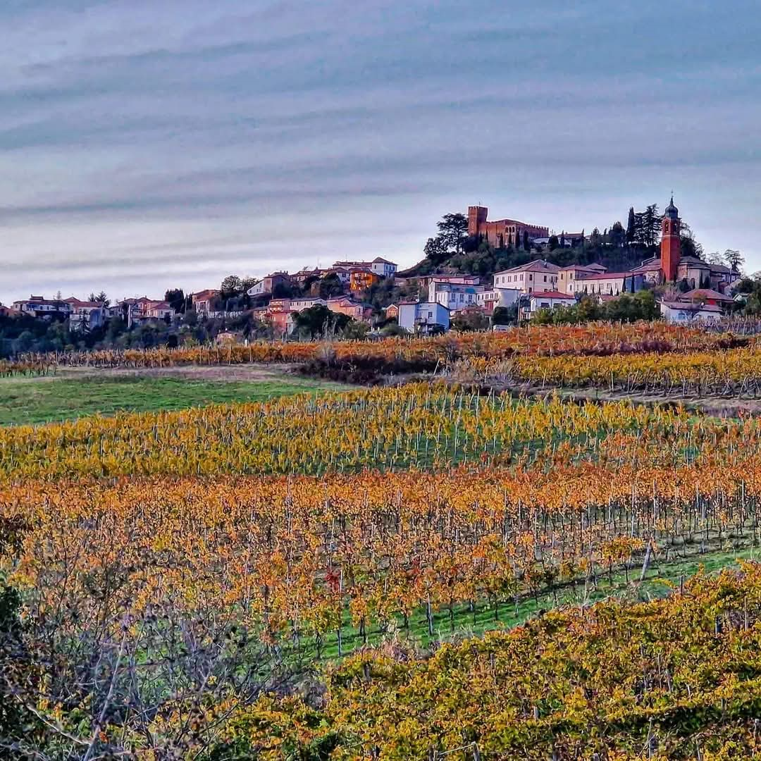 FB_IMG_1739516544309