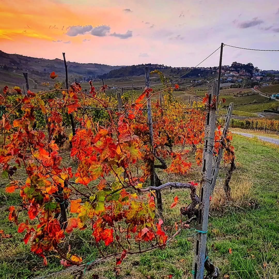 FB_IMG_1739516551355