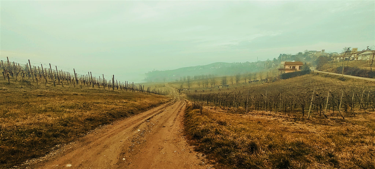 PASSEGGIATE MALINCONICHE